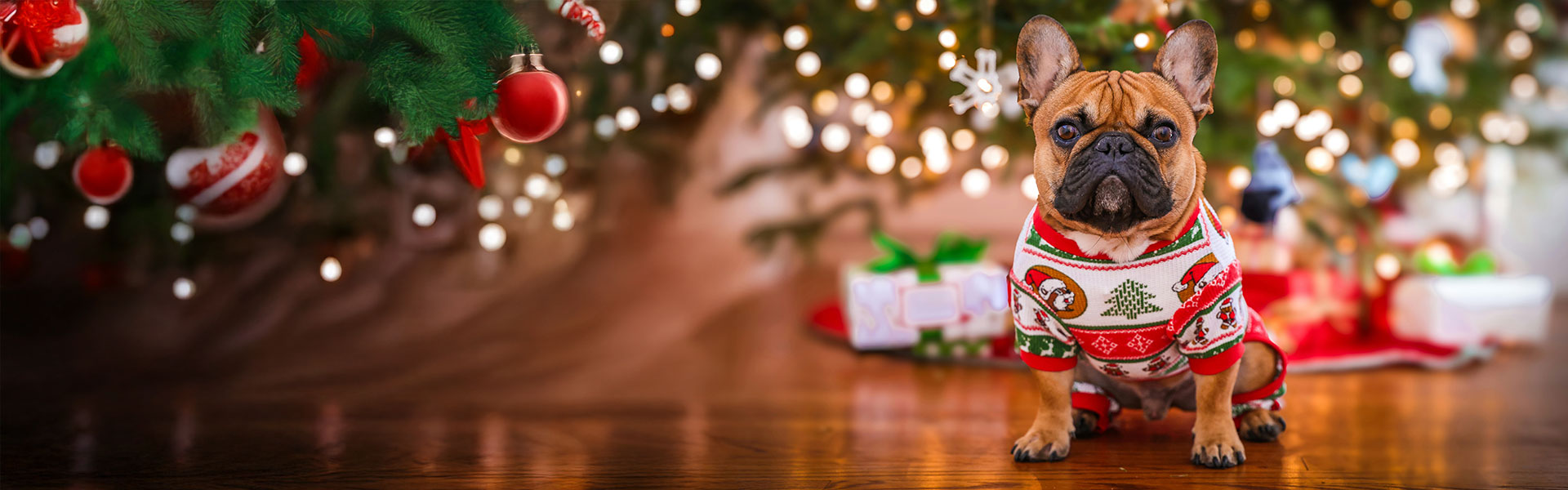 Besinnliche-Weihnachtszeit